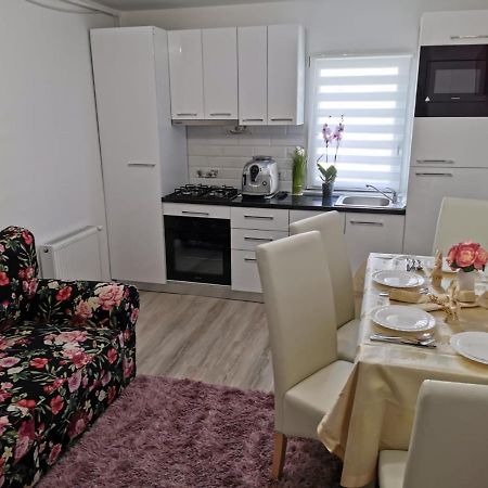 Ferienwohnung Apartament Gold Luxury Tîrgu Ocna Exterior foto