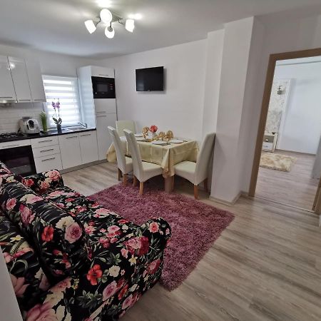 Ferienwohnung Apartament Gold Luxury Tîrgu Ocna Exterior foto